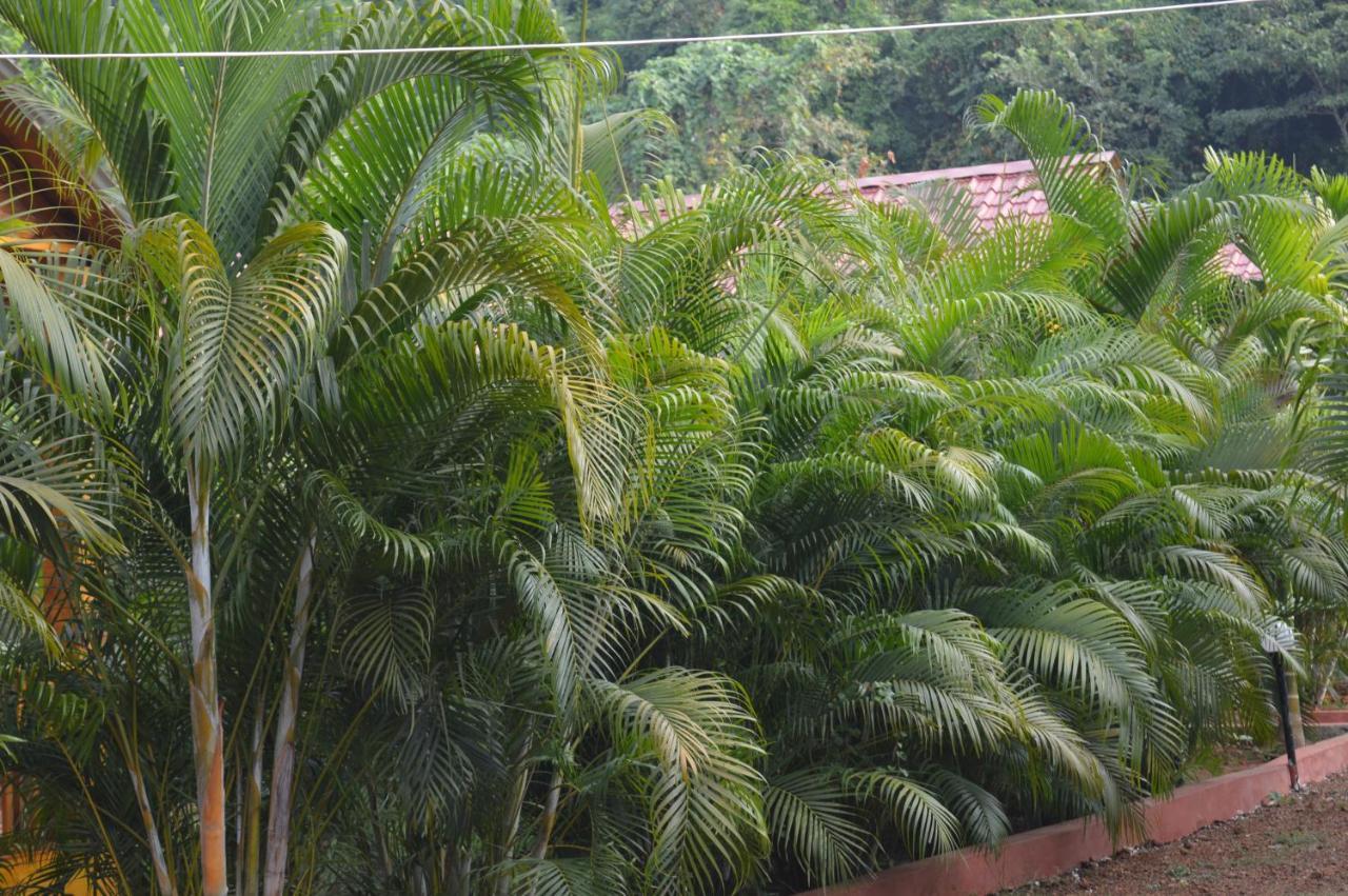 Kings Villa Resort Palolem Exteriör bild
