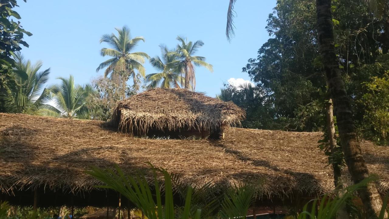 Kings Villa Resort Palolem Exteriör bild