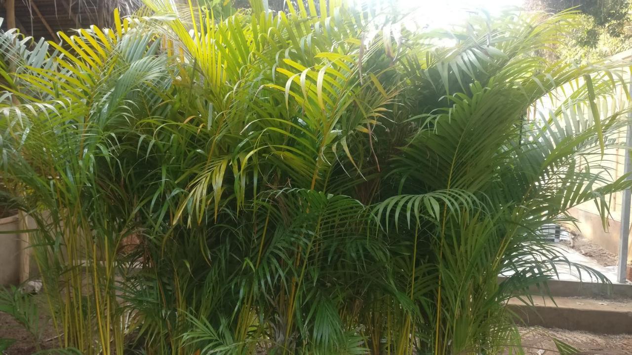 Kings Villa Resort Palolem Exteriör bild